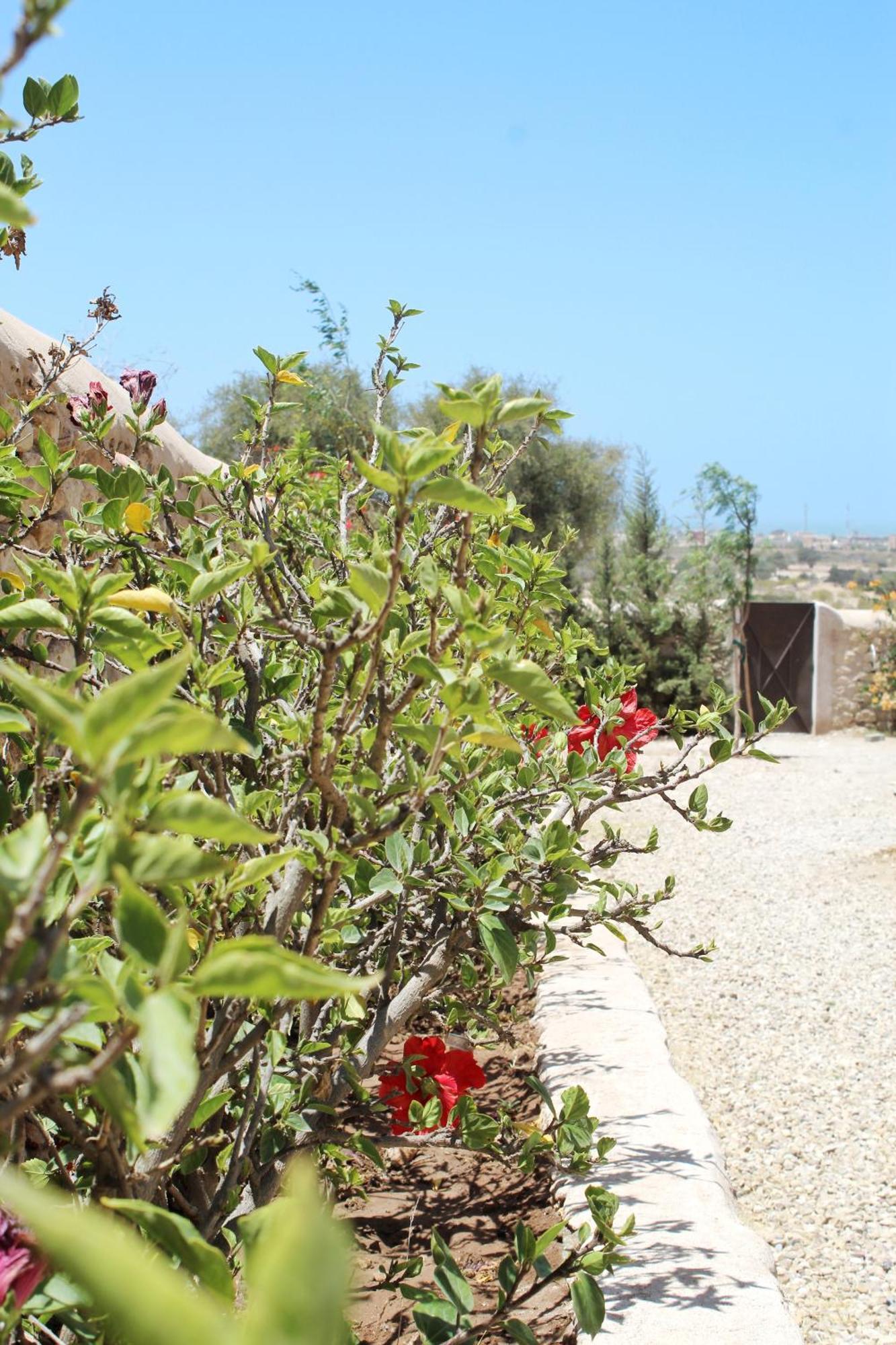 Villa Sarah Sidi Kaouki Exterior foto